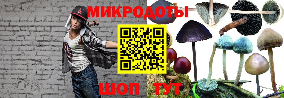 Муром  Галлюциногенные грибы Psilocybine cubensis  Вход с VPN 
