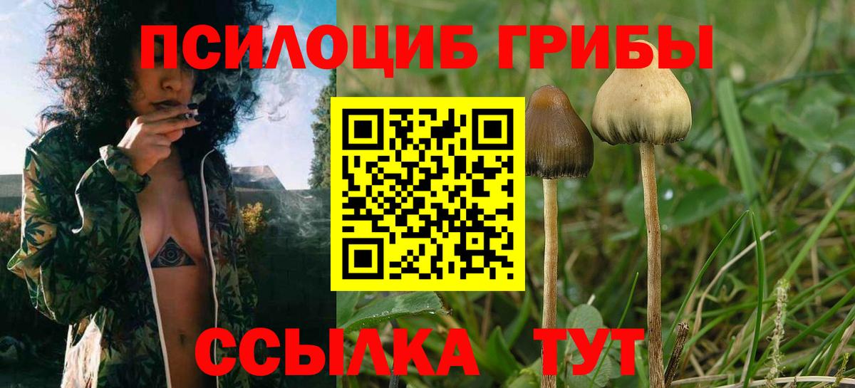 Галлюциногенные грибы Magic Shrooms Муром
